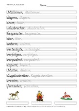 DSS_2S_Bu_er_Nr_02.pdf